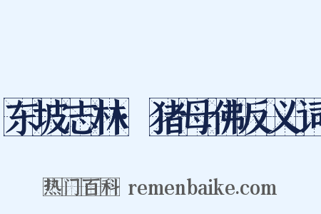 东坡志林·猪母佛反义词是什么意思的图片